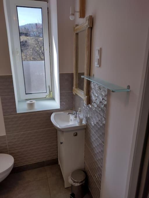 Appartement Sudety Hut 3 à Podgórzyn Extérieur photo